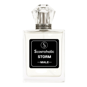 Scentoholic Storm – Magnetic Charm (Male)